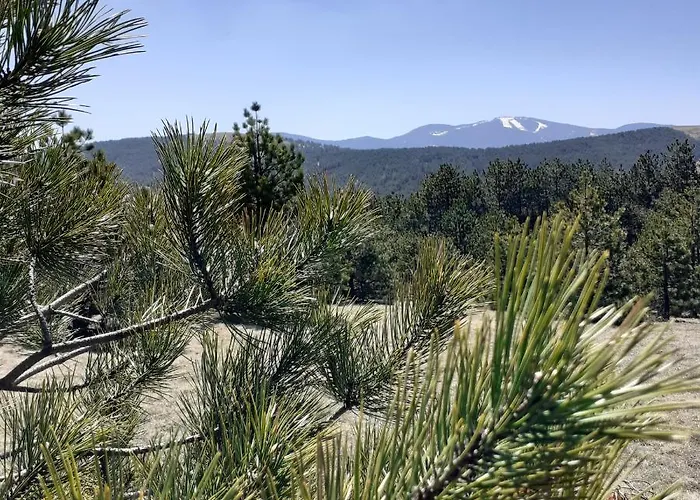 Hills, 41 * Zlatibor